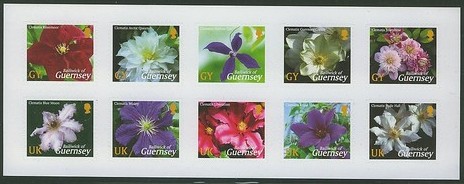 2004 GBG - SBG75 - Guernsey Clematis - GY BP x 1 (S/A)